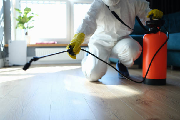 Trusted Sewage Cleanup service in Fulton, TX - Four Month Blood Cleanse